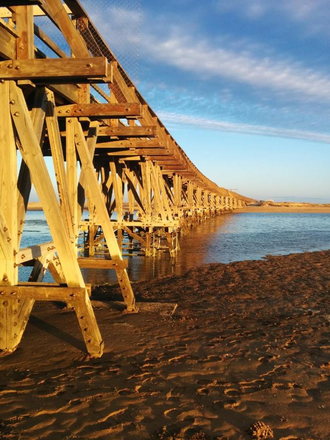 Estudio Con Piscina Y Garaje A 100 Mtr De La Playa Isola Cristina Esterno foto